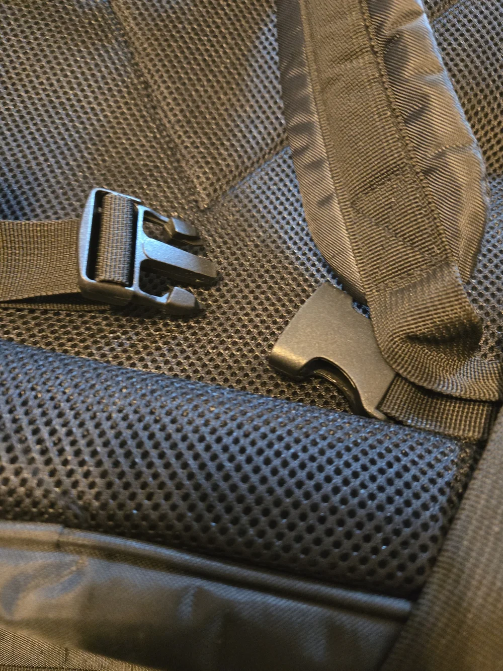 Top Paw Gray and Teal Pet Backpack Carrier